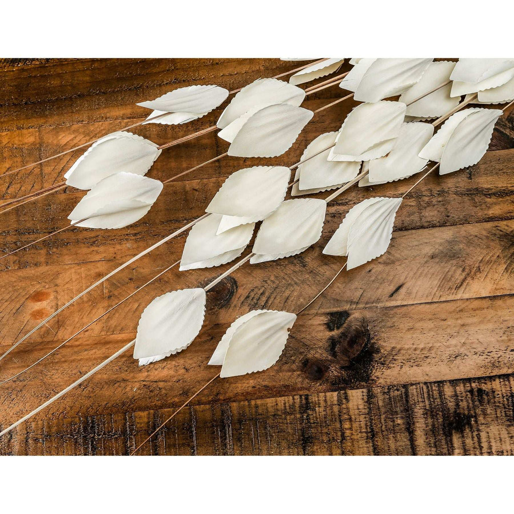 Shades 4 Seasons Dried Thlaspi Arvense Decorative Flowers Shades 4 Seasons