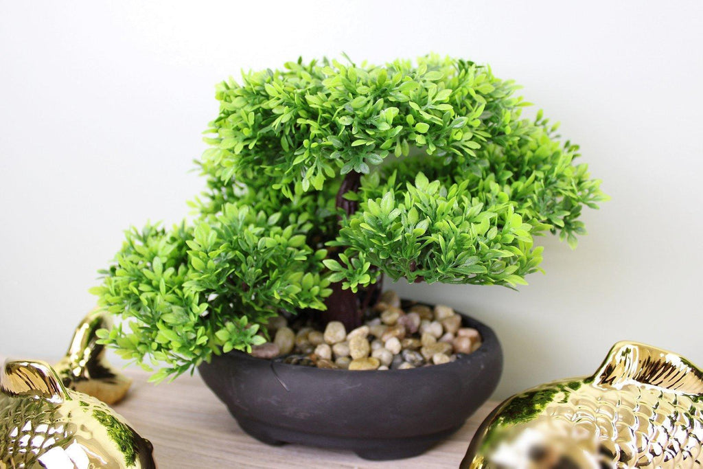 Eastern Faux Bonsai Tree in Boxwood Style Geko Products