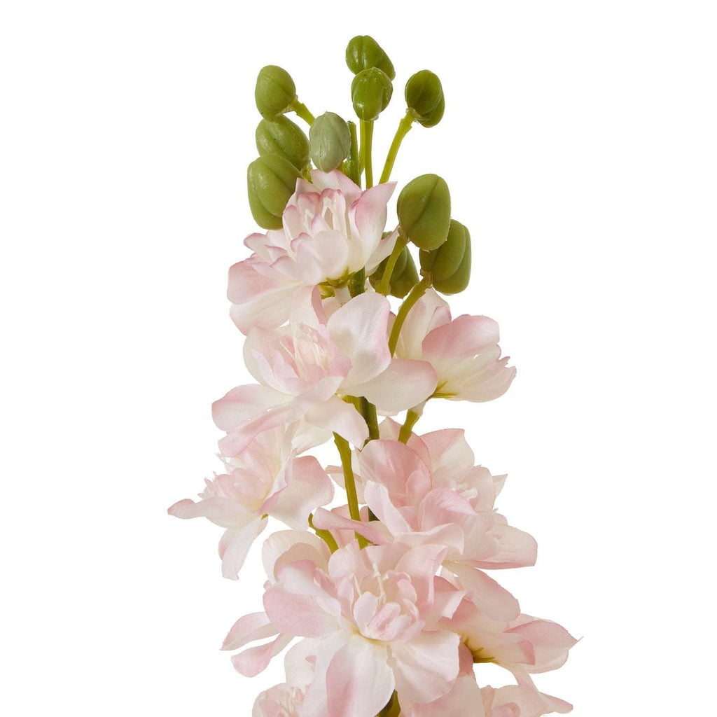 The Natural Garden Collection Pink Elatum Delphinium Shades 4 Seasons