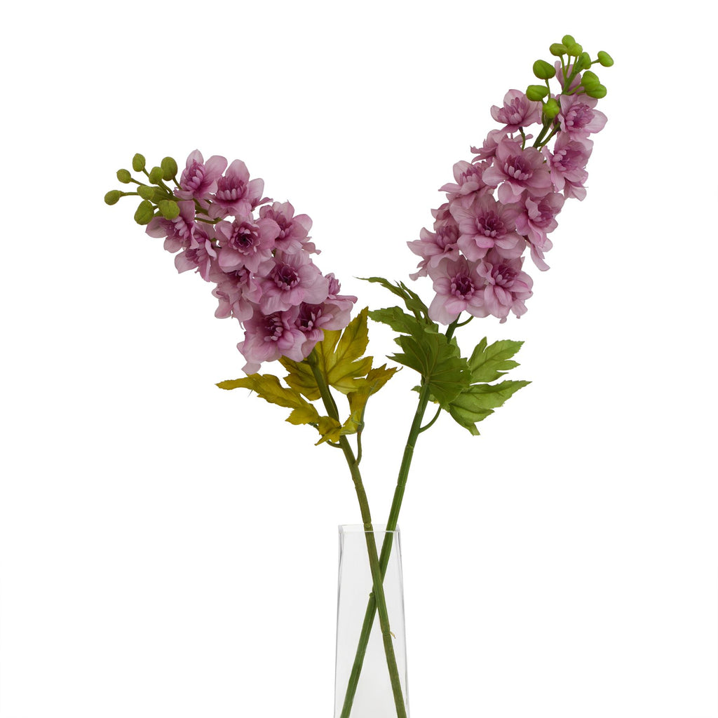 The Natural Garden Collection Purple Elatum Delphinium Shades 4 Seasons