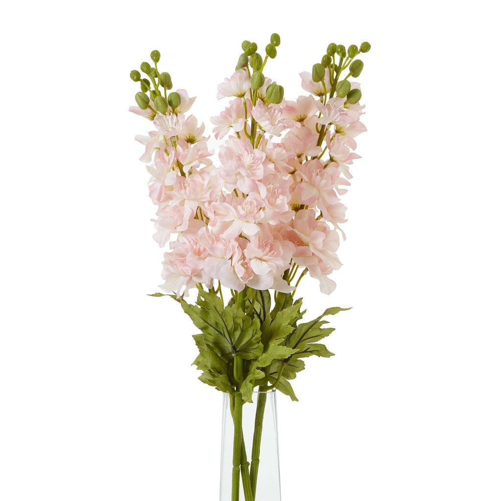 The Natural Garden Collection Pink Elatum Delphinium Shades 4 Seasons