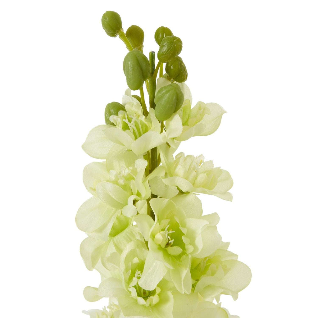 The Natural Garden Collection White Elatum Delphinium Shades 4 Seasons