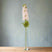 The Natural Garden Collection Pink Elatum Delphinium PINK PLASTIC Shades 4 Seasons