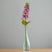 The Natural Garden Collection Purple Elatum Delphinium PURPLE PLASTIC Shades 4 Seasons