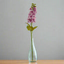 The Natural Garden Collection Purple Elatum Delphinium PURPLE PLASTIC Shades 4 Seasons