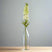 The Natural Garden Collection White Elatum Delphinium WHITE PLASTIC Shades 4 Seasons