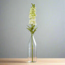 The Natural Garden Collection White Elatum Delphinium WHITE PLASTIC Shades 4 Seasons
