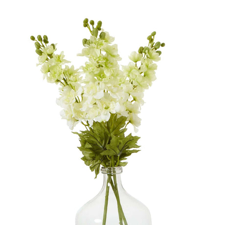 The Natural Garden Collection White Elatum Delphinium Shades 4 Seasons