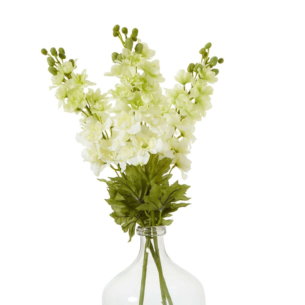 The Natural Garden Collection White Elatum Delphinium Shades 4 Seasons