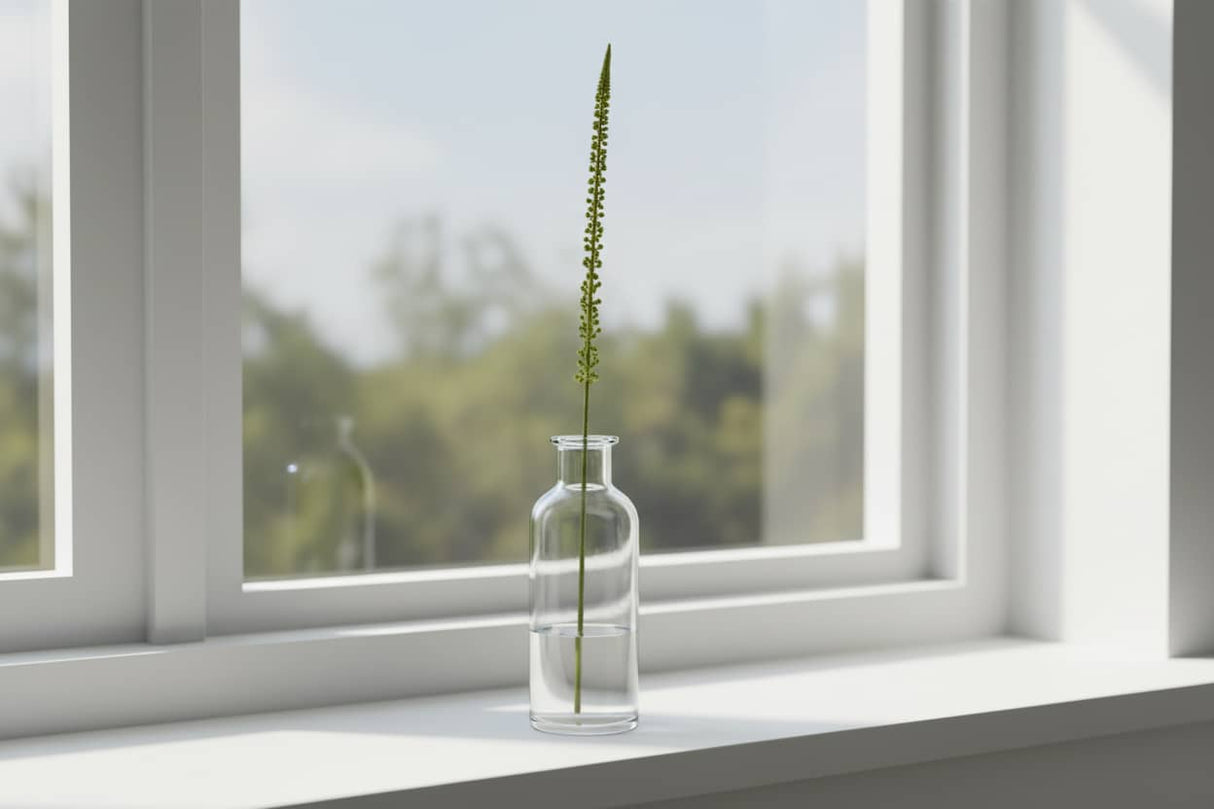 Eremurus Stem Elegant Artificial Flower by Shades 4 Seasons GREEN PLASTIC Shades 4 Seasons