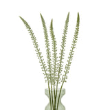 Shades 4 Seasons Eremurus Stem for Stylish Decor Shades 4 Seasons