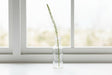 Shades 4 Seasons Eremurus Stem for Stylish Decor WHITE PLASTIC Shades 4 Seasons