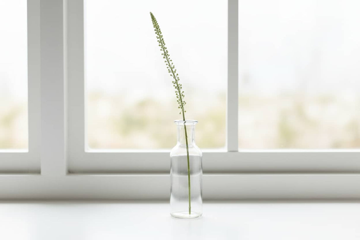 Shades 4 Seasons Eremurus Stem for Stylish Decor WHITE PLASTIC Shades 4 Seasons