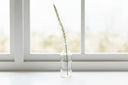 Shades 4 Seasons Eremurus Stem for Stylish Decor WHITE PLASTIC Shades 4 Seasons