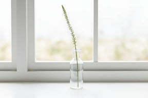 Shades 4 Seasons Eremurus Stem for Stylish Decor WHITE PLASTIC Shades 4 Seasons
