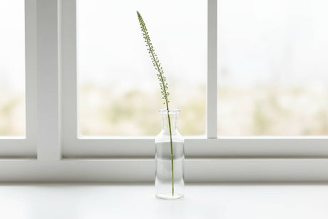 Shades 4 Seasons Eremurus Stem for Stylish Decor WHITE PLASTIC Shades 4 Seasons