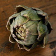 Shades 4 Seasons Artificial Artichoke - Lifelike Home Decor Shades 4 Seasons