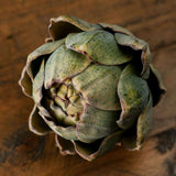 Shades 4 Seasons Artificial Artichoke - Lifelike Home Decor Shades 4 Seasons