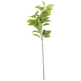 Shades 4 Seasons Laurel Leaf Spray - Artificial Single Stem GREEN PLASTIC Shades 4 Seasons