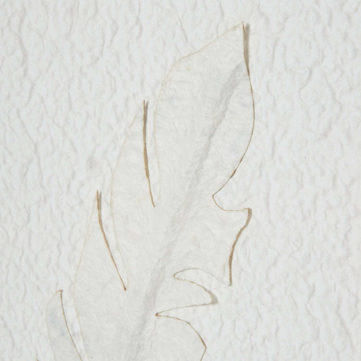 Solli White Feathers Art Mounted In Beaded Frame Shades 4 Seasons