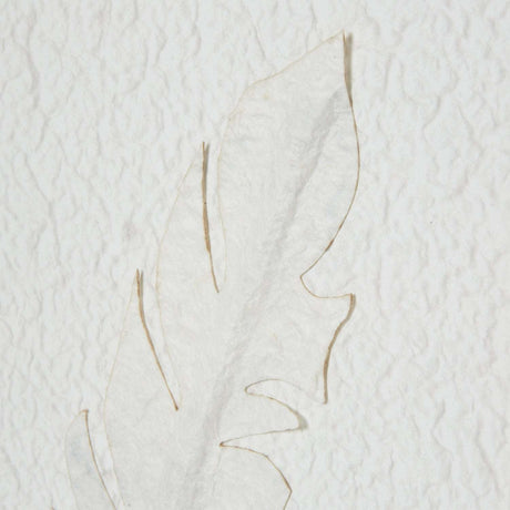 Solli White Feathers Art Mounted In Beaded Frame Shades 4 Seasons