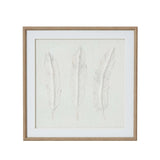 Solli White Feathers Art Mounted In Beaded Frame BROWN WOOD Shades 4 Seasons