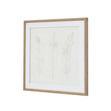 Solli White Feathers Art Mounted In Beaded Frame Shades 4 Seasons