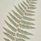 Fern Art On Texture-Torn Paper With Beaded Frame Shades 4 Seasons