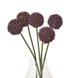 Shades 4 Seasons Allium Stem for Stylish Home Decor Shades 4 Seasons