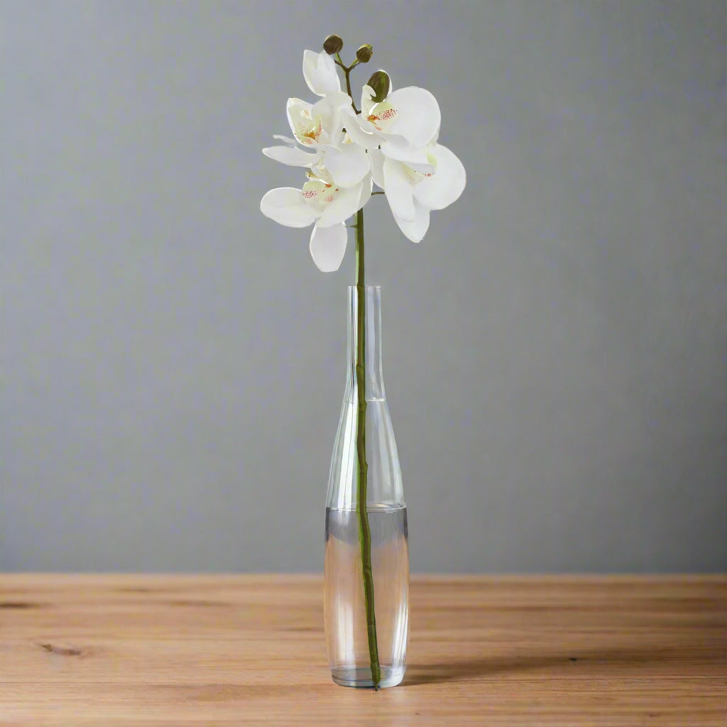 Shades 4 Seasons Butterfly Orchid Stem - Realistic Faux Stem WHITE PLASTIC Shades 4 Seasons