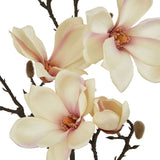 The Natural Garden Collection Pale Apricot Magnolia Stem Shades 4 Seasons
