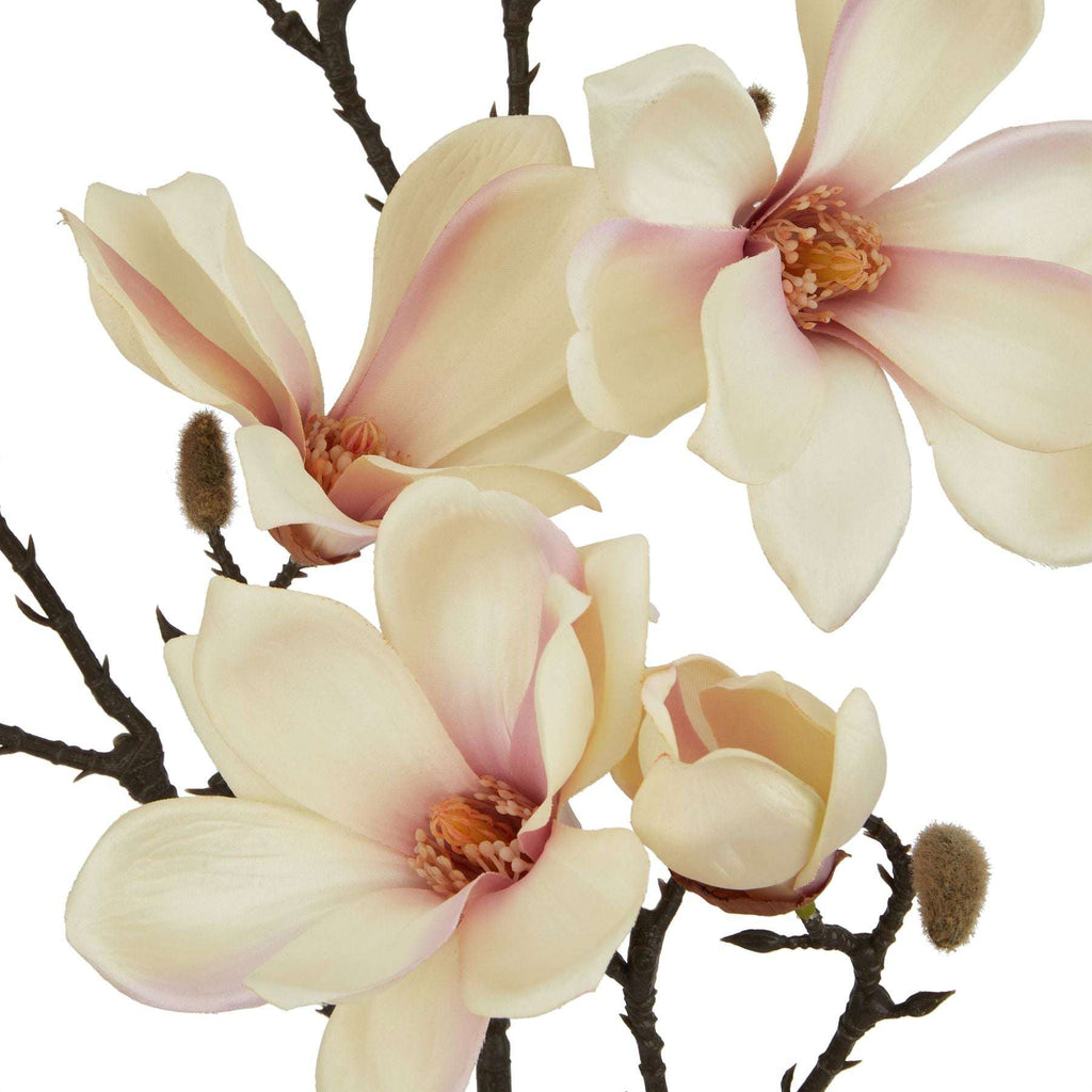 The Natural Garden Collection Pale Apricot Magnolia Stem Shades 4 Seasons