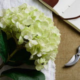 Shades 4 Seasons Realistic Green Hydrangea Single Stem Shades 4 Seasons