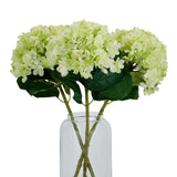 Shades 4 Seasons Realistic Green Hydrangea Single Stem Shades 4 Seasons