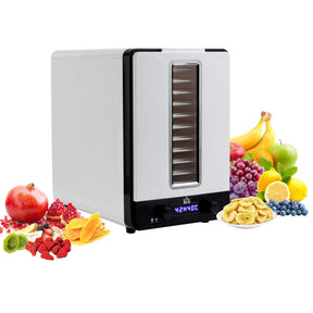 Wise Galleria Food Dehydrator with adjustable trays and fruits arranged around it for healthy snacks