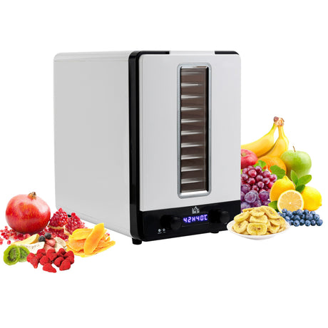 Wise Galleria Food Dehydrator with adjustable trays and fruits arranged around it for healthy snacks