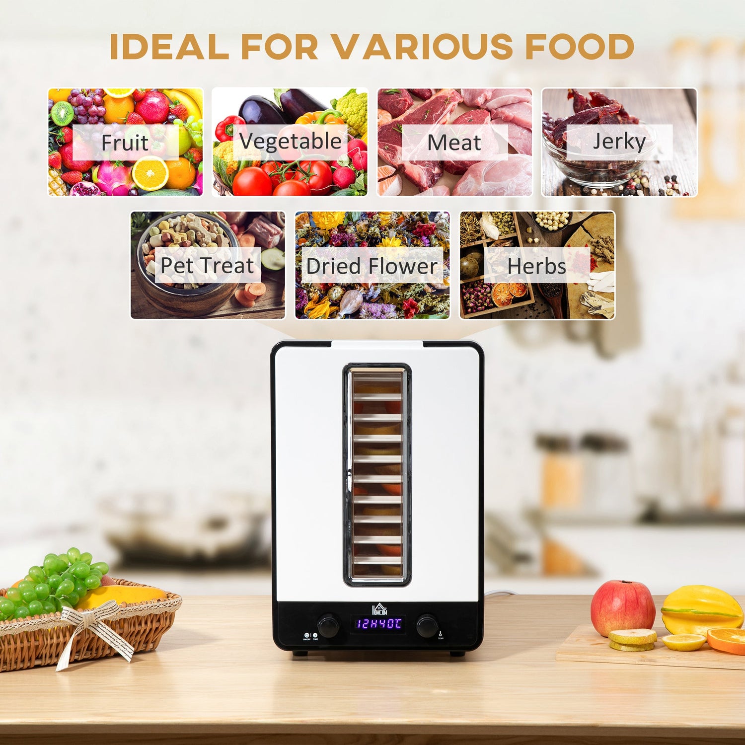 Wise Galleria Food Dehydrator showcasing fruits, vegetables, and meats with multiple drying options