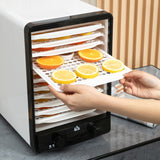 Wise Galleria Food Dehydrator with trays showcasing sliced oranges for healthy snacks and preservation