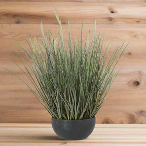 Fountain Grass Plant in Stylish Black Pot by Shades 4 Seasons GREEN PLASTIC Shades 4 Seasons