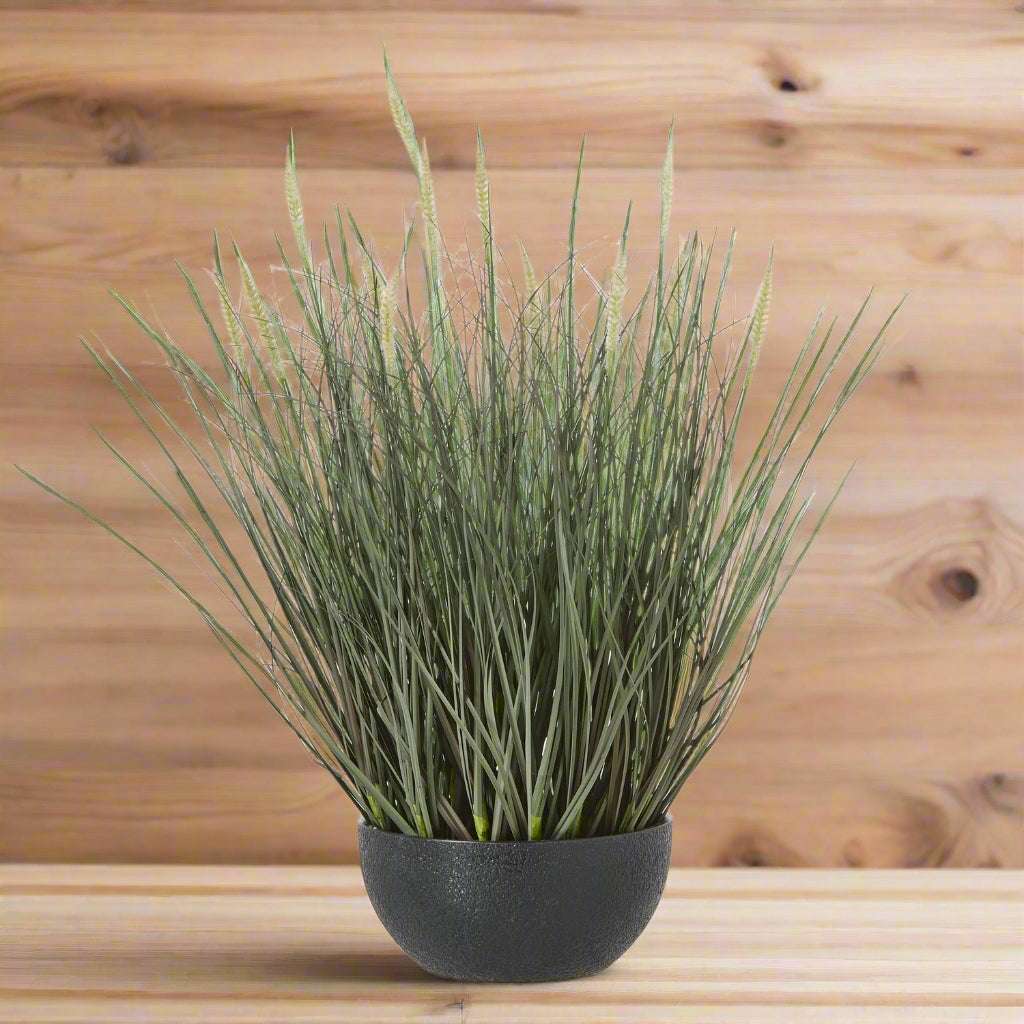 Fountain Grass Plant in Stylish Black Pot by Shades 4 Seasons GREEN PLASTIC Shades 4 Seasons
