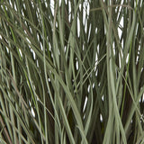 Fountain Grass Plant in Stylish Black Pot by Shades 4 Seasons Shades 4 Seasons