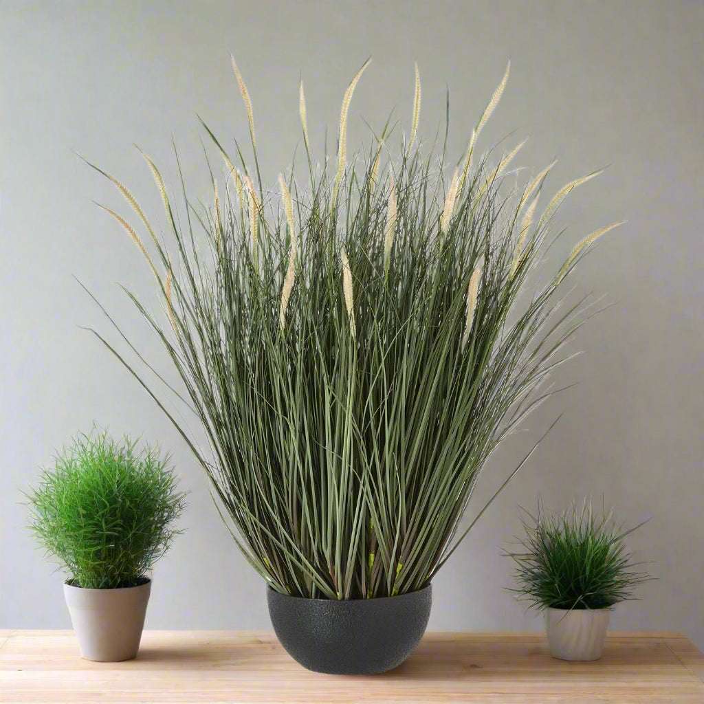 Shades 4 Seasons Fountain Grass Plant in Decorative Pot GREEN PLASTIC Shades 4 Seasons
