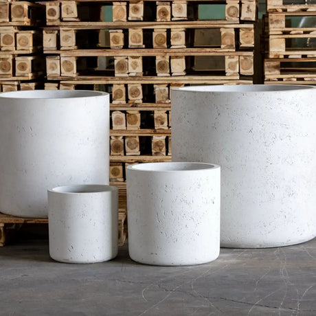 Set of Jobu Home Cylinder Planters in various sizes for indoor and outdoor plants