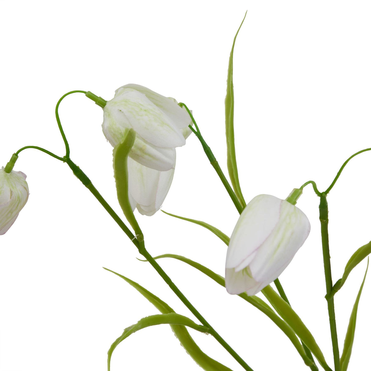 The Natural Garden Collection White Fritillaria Stem Shades 4 Seasons
