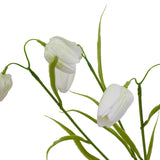 The Natural Garden Collection White Fritillaria Stem Shades 4 Seasons