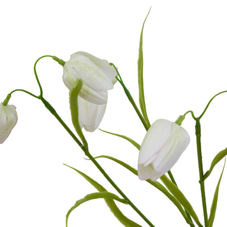 The Natural Garden Collection White Fritillaria Stem Shades 4 Seasons