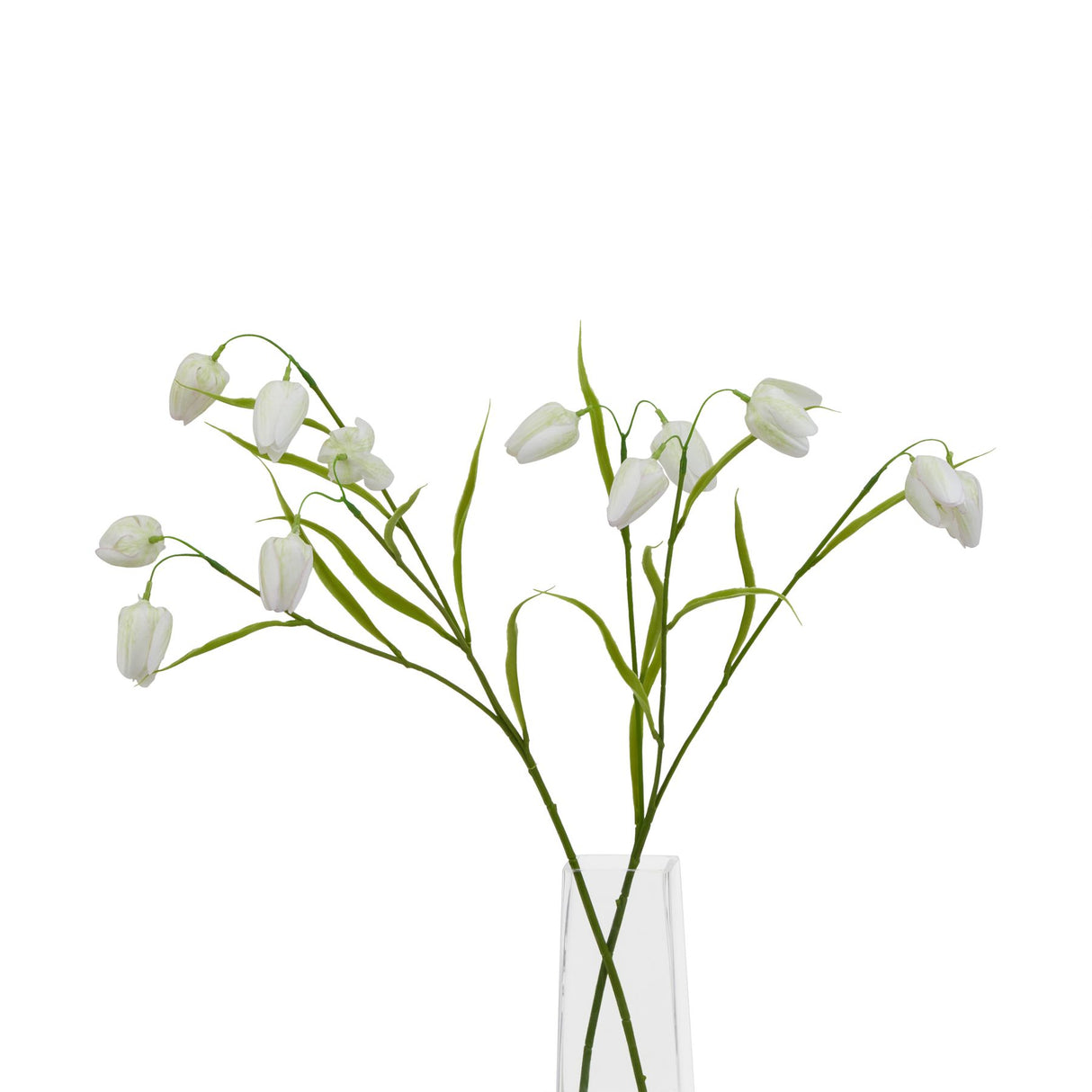 The Natural Garden Collection White Fritillaria Stem Shades 4 Seasons