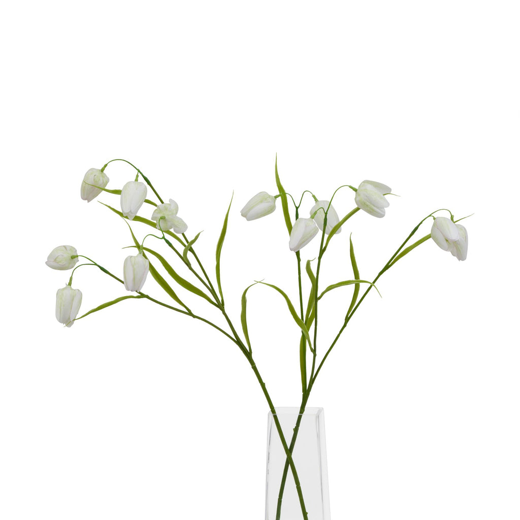 The Natural Garden Collection White Fritillaria Stem Shades 4 Seasons