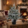 Frosted Christmas Tree in a Black Pot with Warm Holiday Decor in the Background