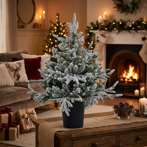 Frosted Christmas Tree in a Black Pot with Warm Holiday Decor in the Background